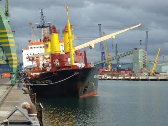 Carguero "IOGANN MAKHMASTAL" atracado en A Coruña